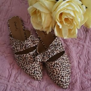 Leopard slip ons